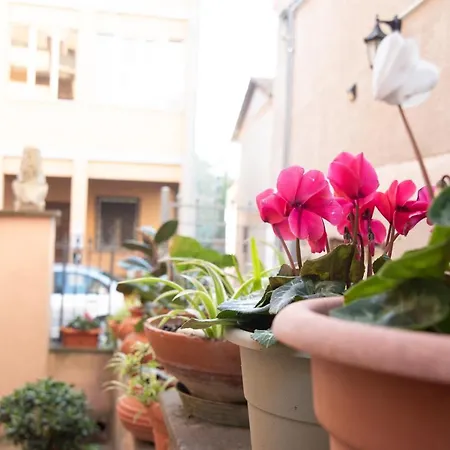 Loft Moderno Amore Mio Apartment Formello